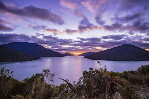 Marlborough Sounds